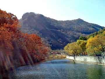 管家婆黑白马报图库，早餐第一步价格